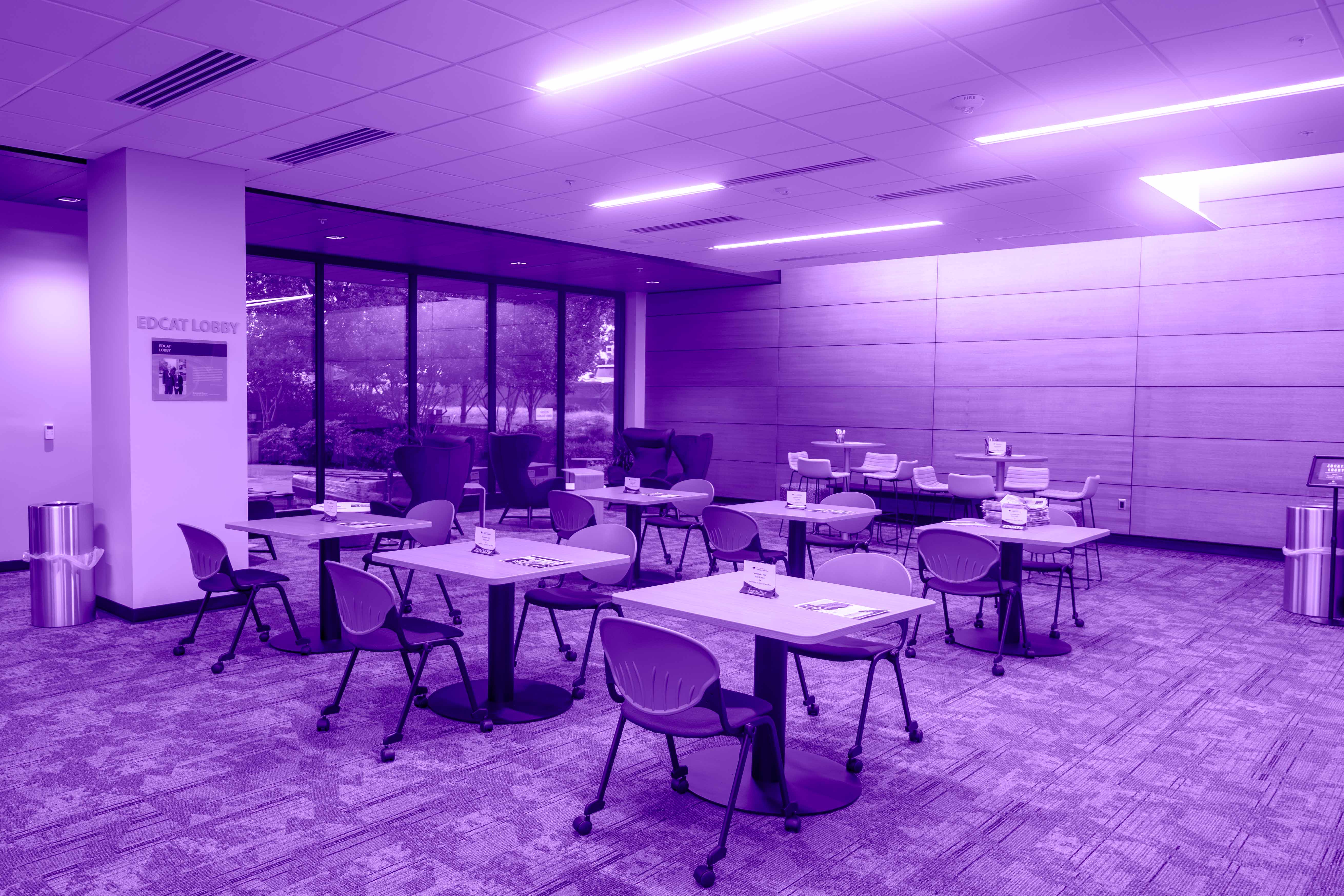 EDCATS Lobby colored purple